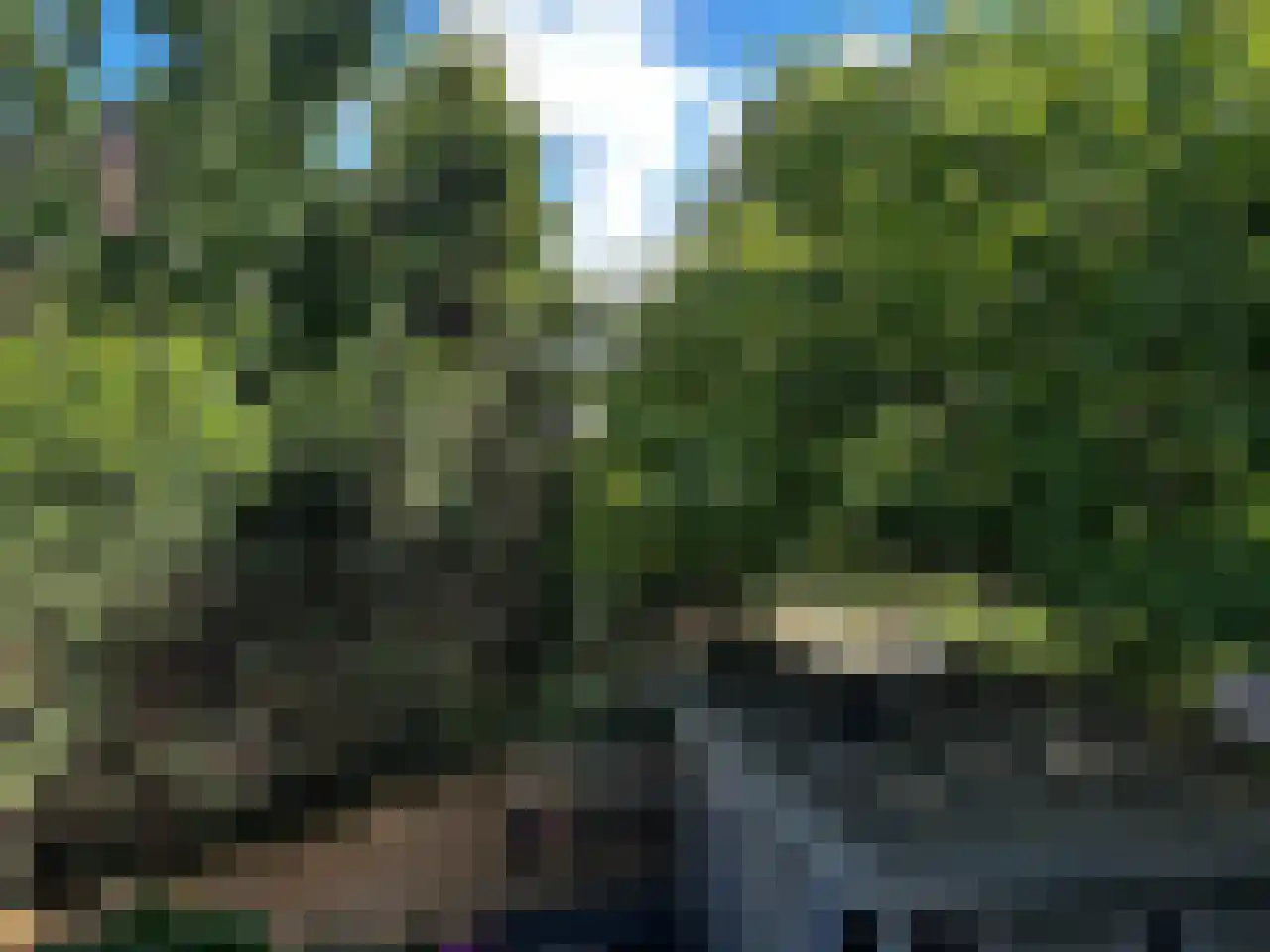 Vlierboomstraat 226 Den Haag thumbnail 28