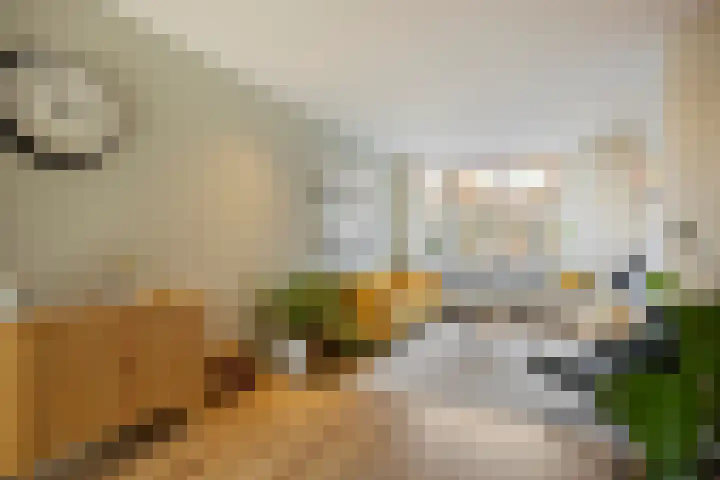 Vlierboomstraat 226 Den Haag thumbnail 6