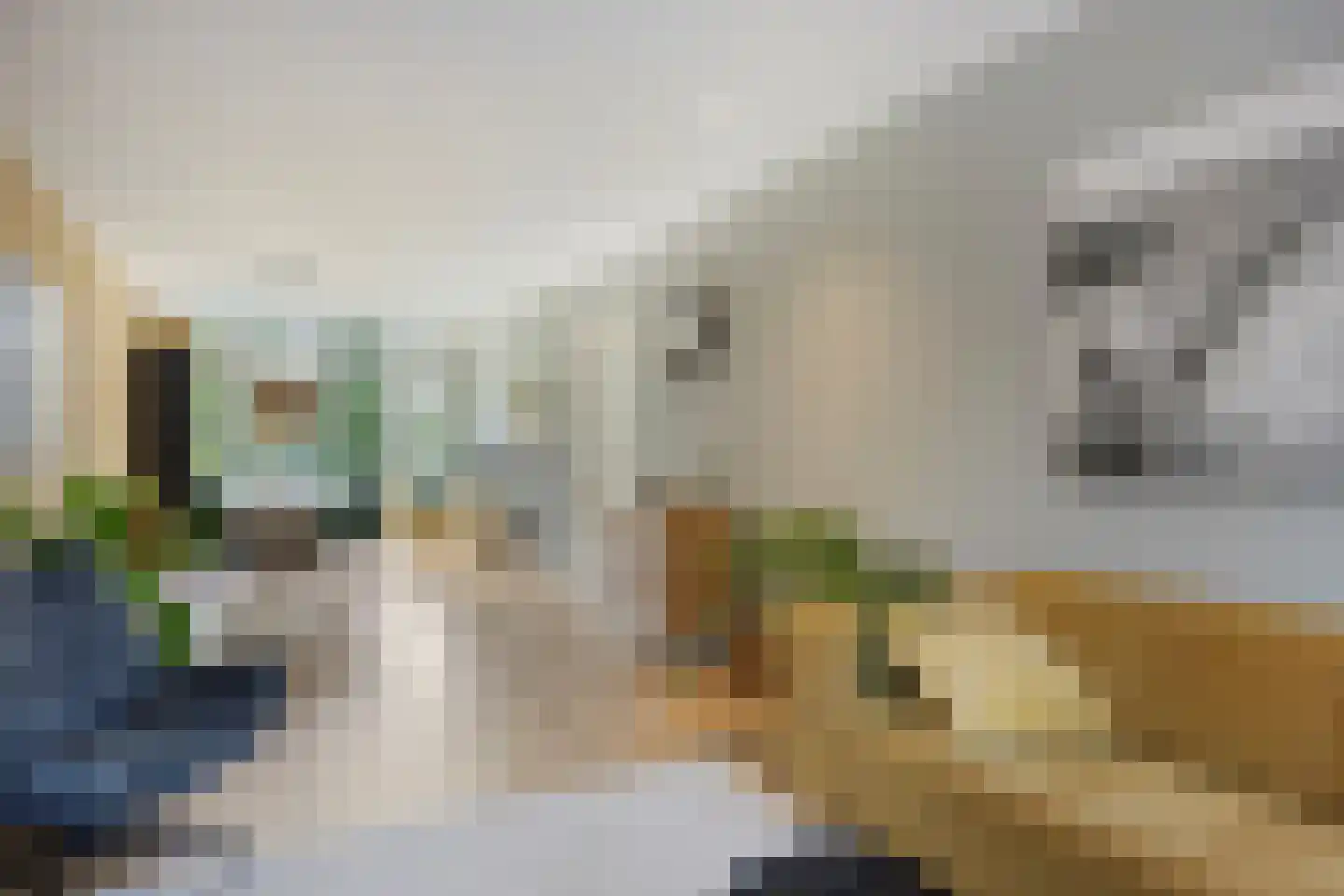 Vlierboomstraat 226 Den Haag thumbnail 9