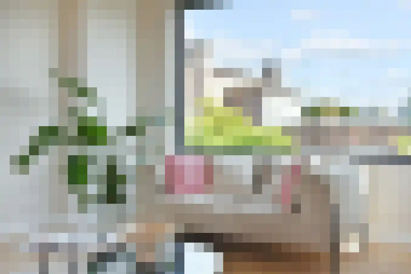 Vlierboomstraat 289 Den Haag thumbnail 16