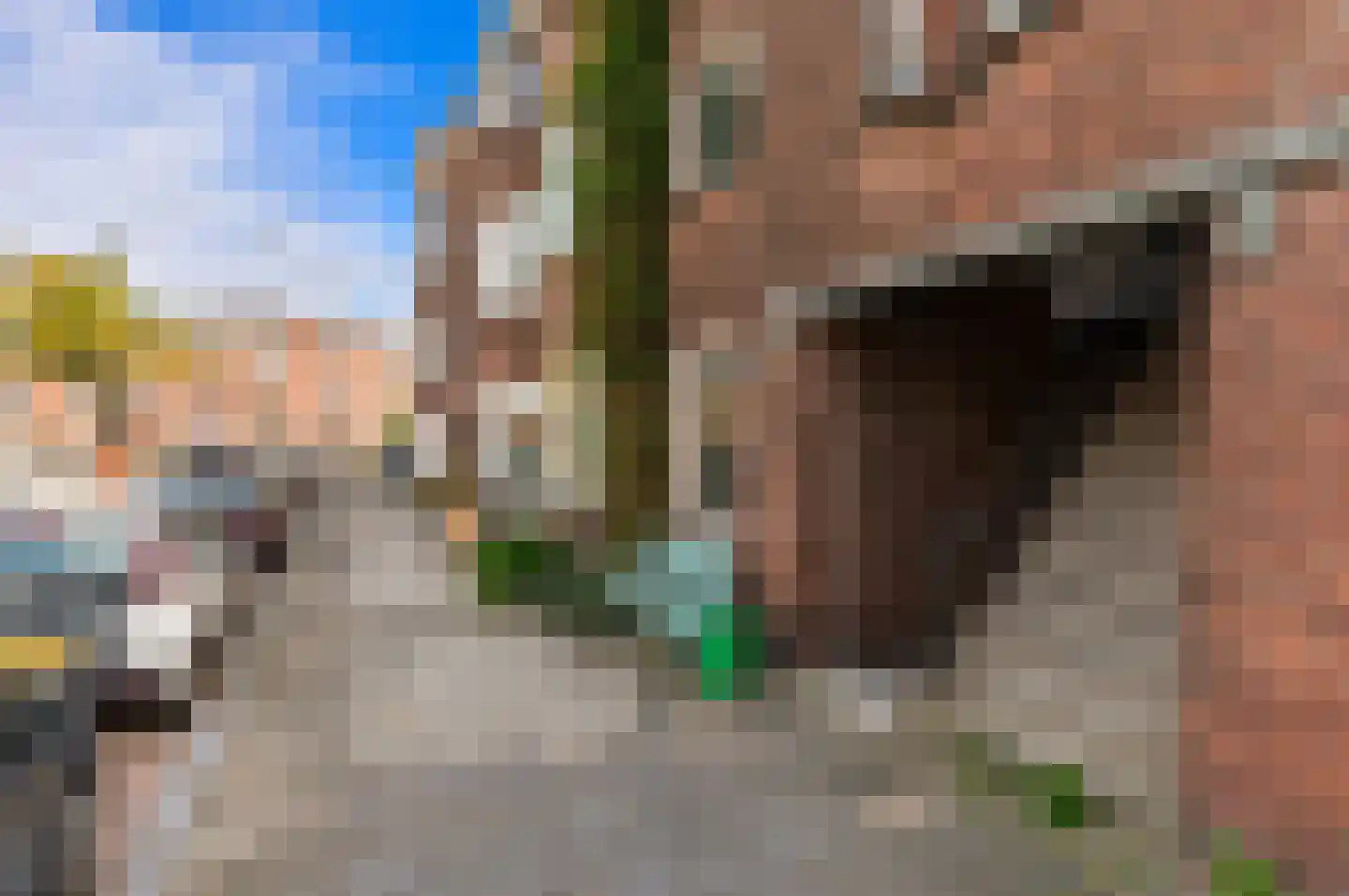 Vlierboomstraat 318 Den Haag thumbnail 5