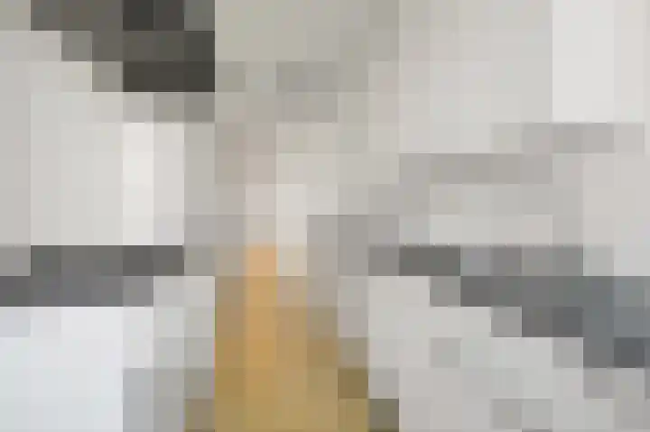 Vlierboomstraat 363 Den Haag thumbnail 17