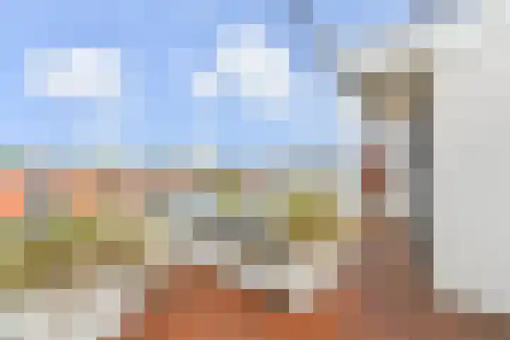 Vlierboomstraat 383 Den Haag