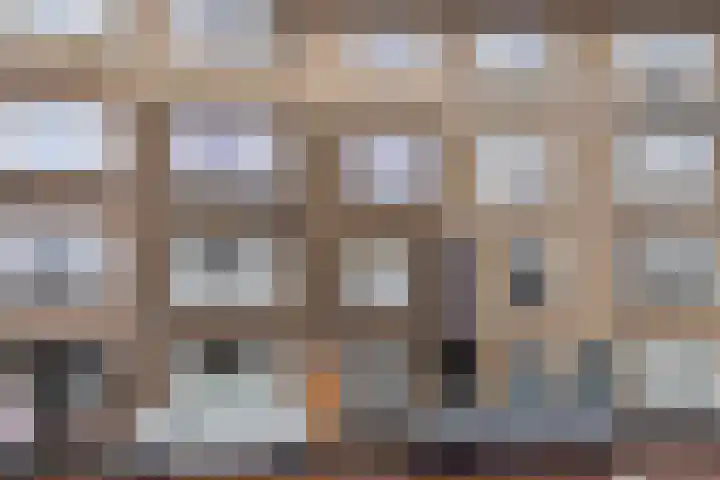 Vlierboomstraat 397 in Den Haag