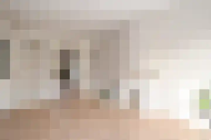 Vlierboomstraat 463 Den Haag thumbnail 16
