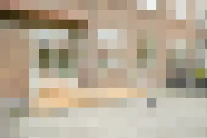 Vlierboomstraat 463 Den Haag thumbnail 31