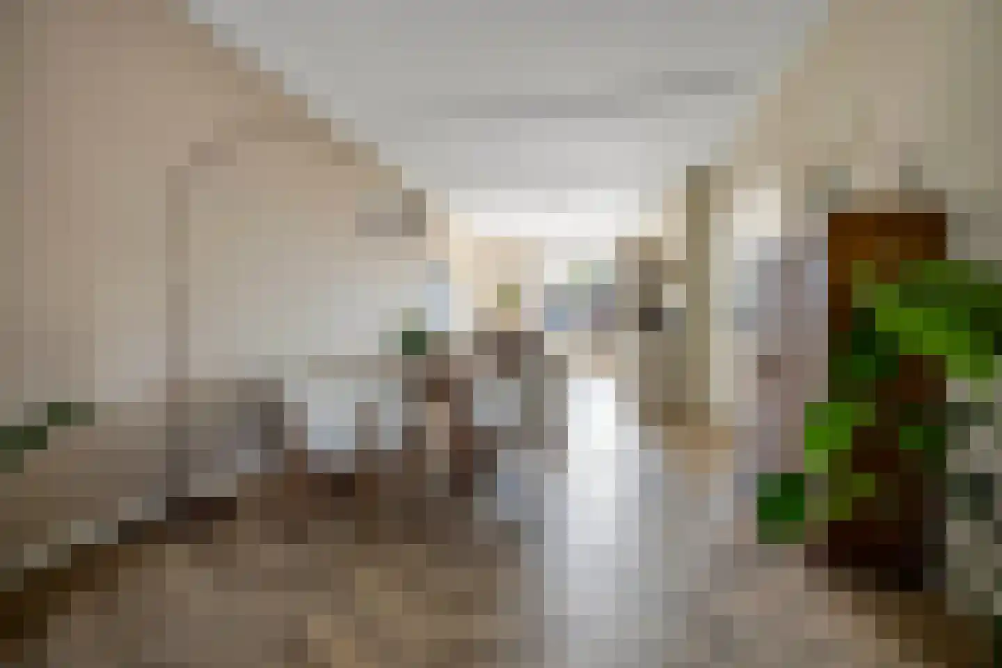 Vlierboomstraat 468 Den Haag thumbnail 6