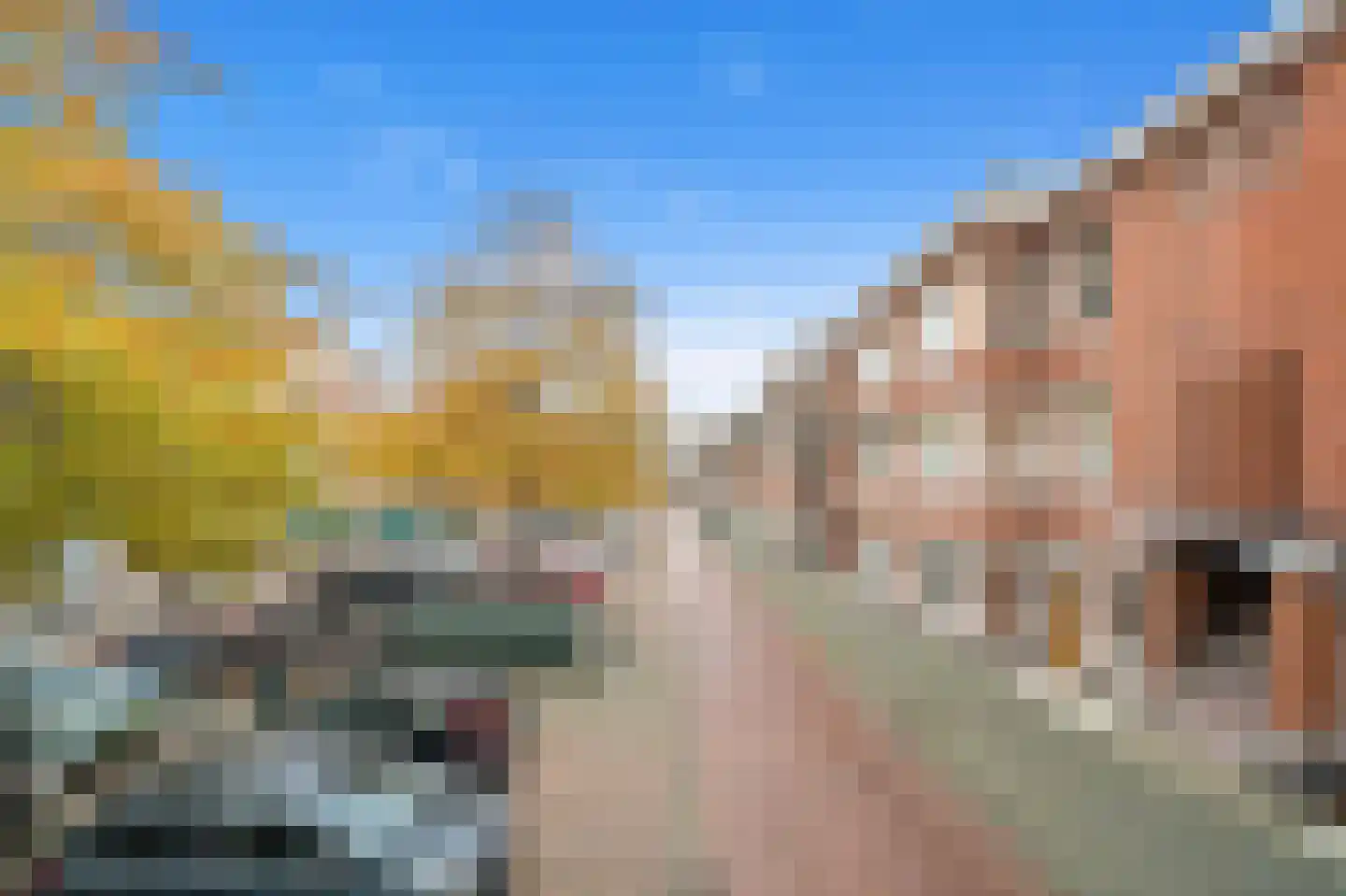 Vlierboomstraat 628 Den Haag thumbnail 7