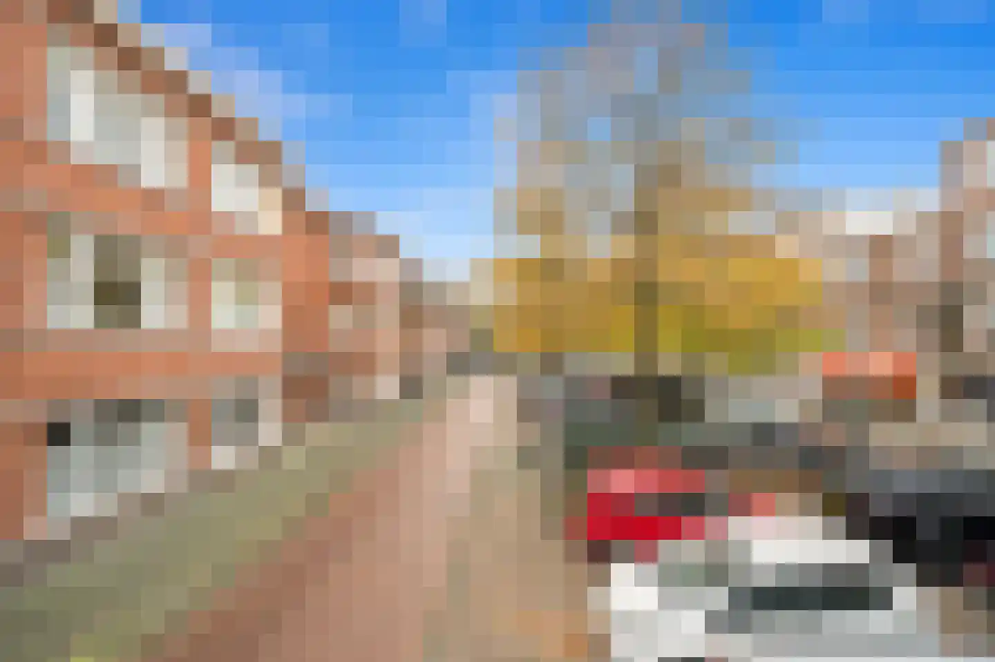 Vlierboomstraat 628 Den Haag thumbnail 8