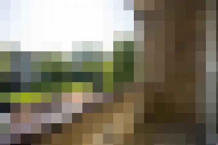 Vlierboomstraat 7 Alphen aan den Rijn thumbnail 11