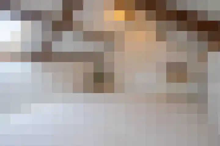Vlierboomstraat 7 Alphen aan den Rijn thumbnail 18