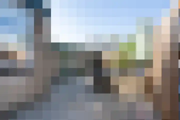 Vlierboomstraat 7 Alphen aan den Rijn thumbnail 21