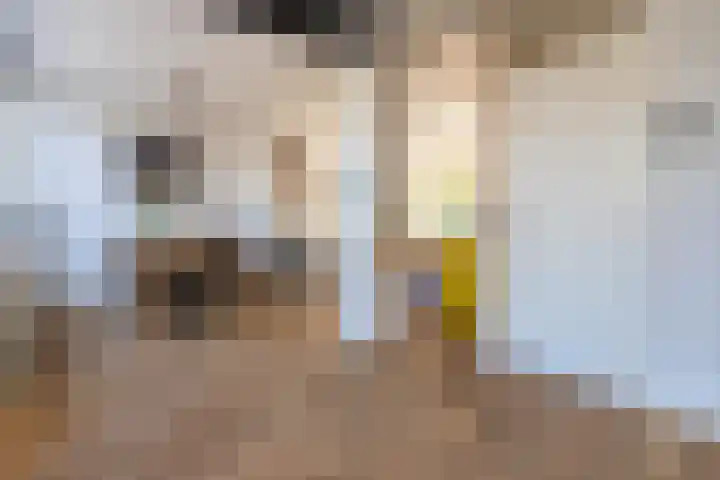Vlierboomstraat 7 Alphen aan den Rijn thumbnail 6