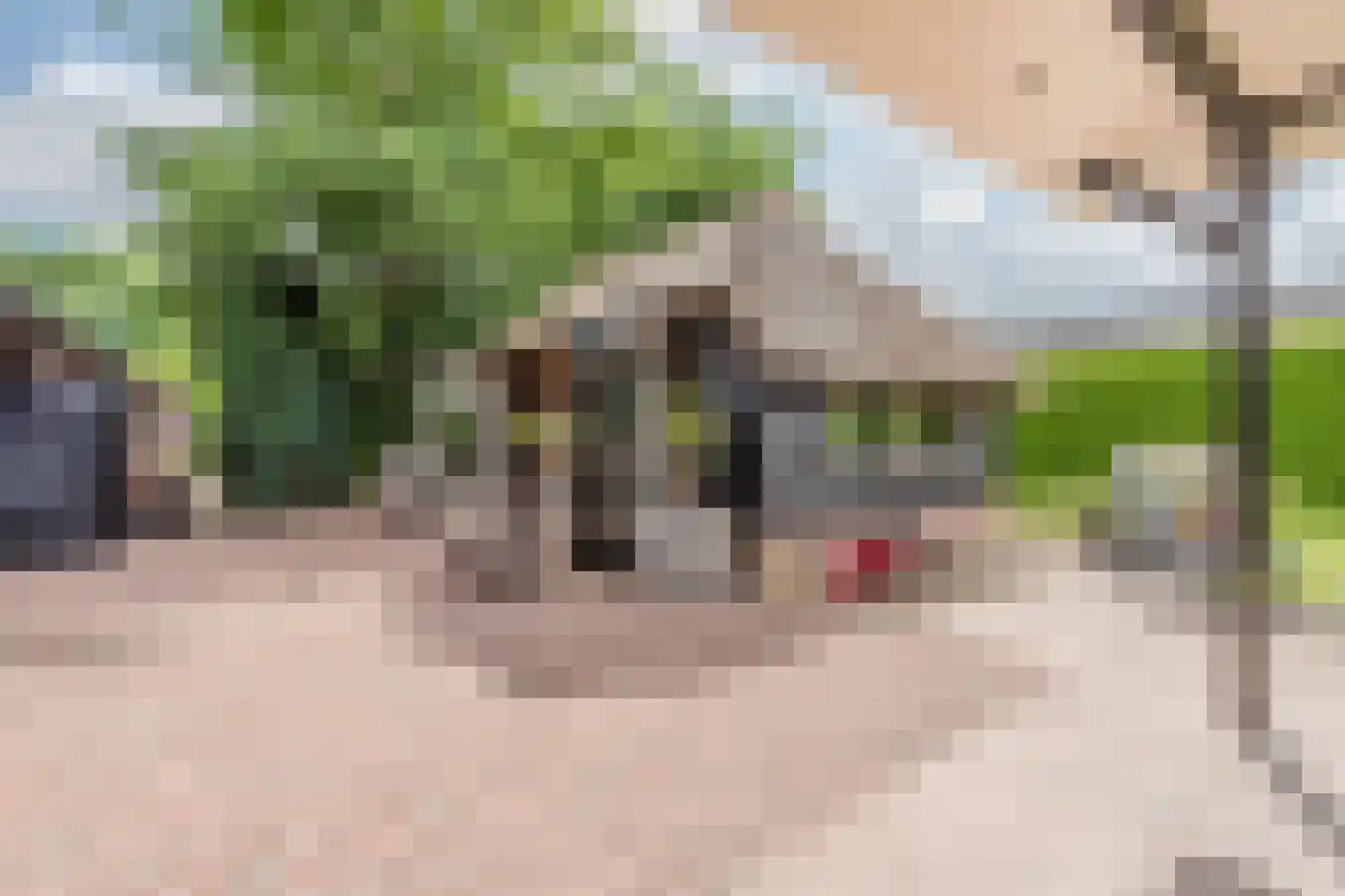 Vlierburgweg 19 Harderwijk thumbnail 61