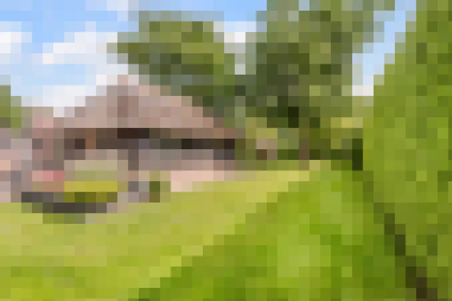 Vlierburgweg 19 Harderwijk thumbnail 77