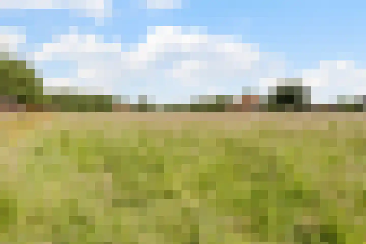 Vlierburgweg 19 Harderwijk thumbnail 96