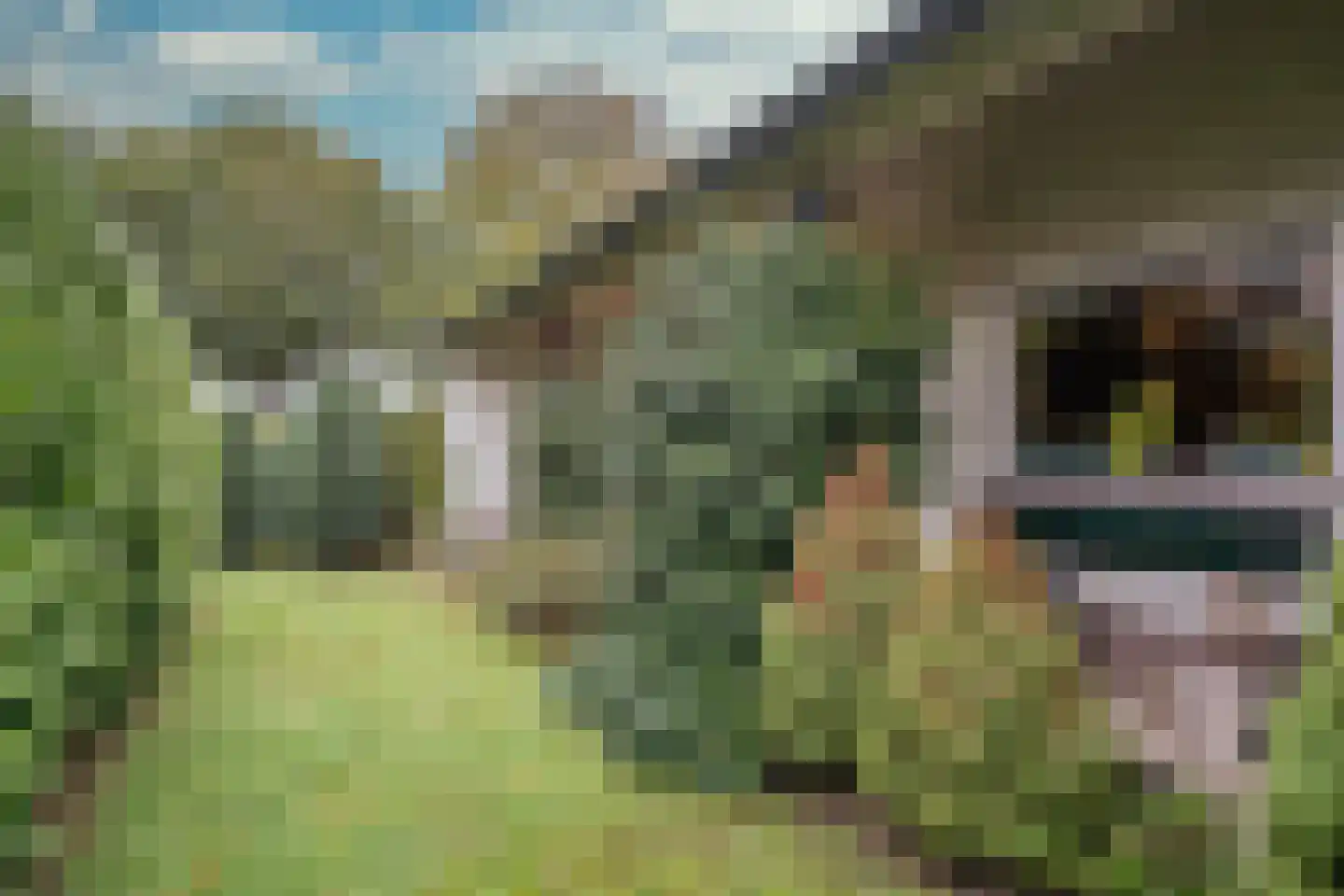 Vlierdenseweg 103 Deurne thumbnail 29
