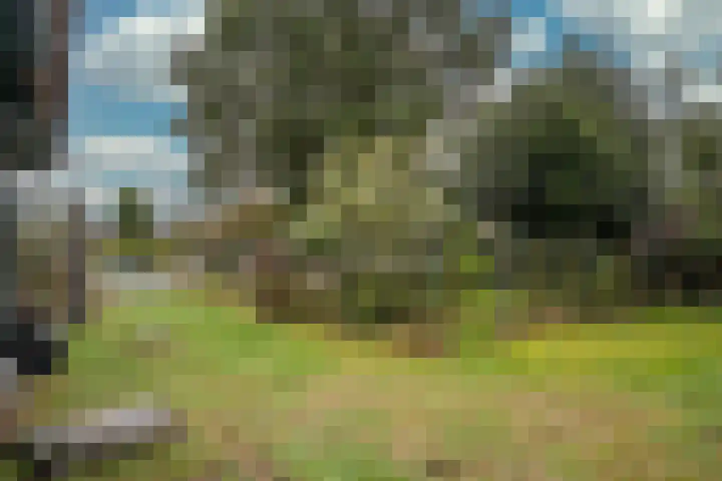 Vlierdenseweg 103 Deurne thumbnail 39
