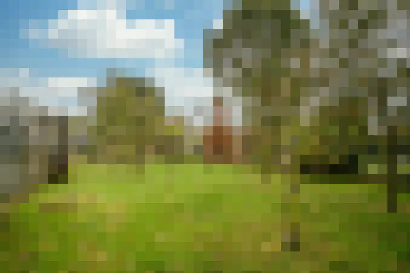 Vlierdenseweg 103 Deurne thumbnail 43