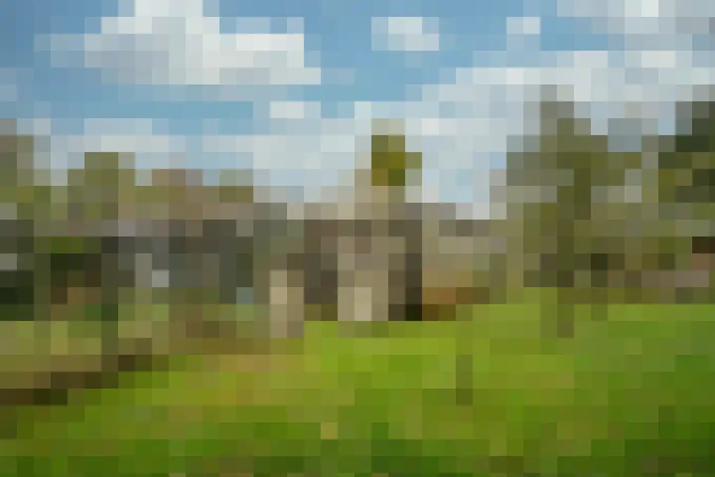 Vlierdenseweg 103 Deurne thumbnail 44