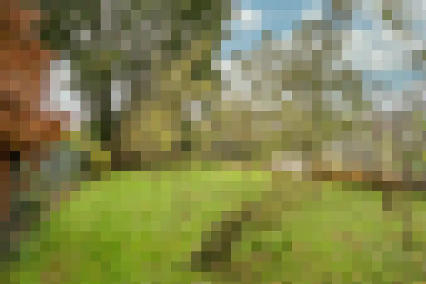 Vlierdenseweg 103 Deurne thumbnail 46