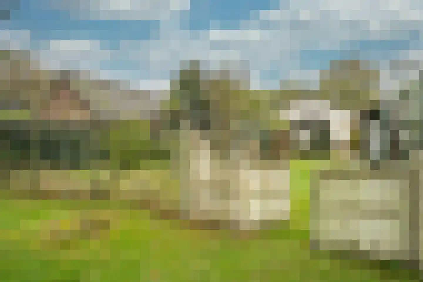 Vlierdenseweg 103 Deurne thumbnail 47