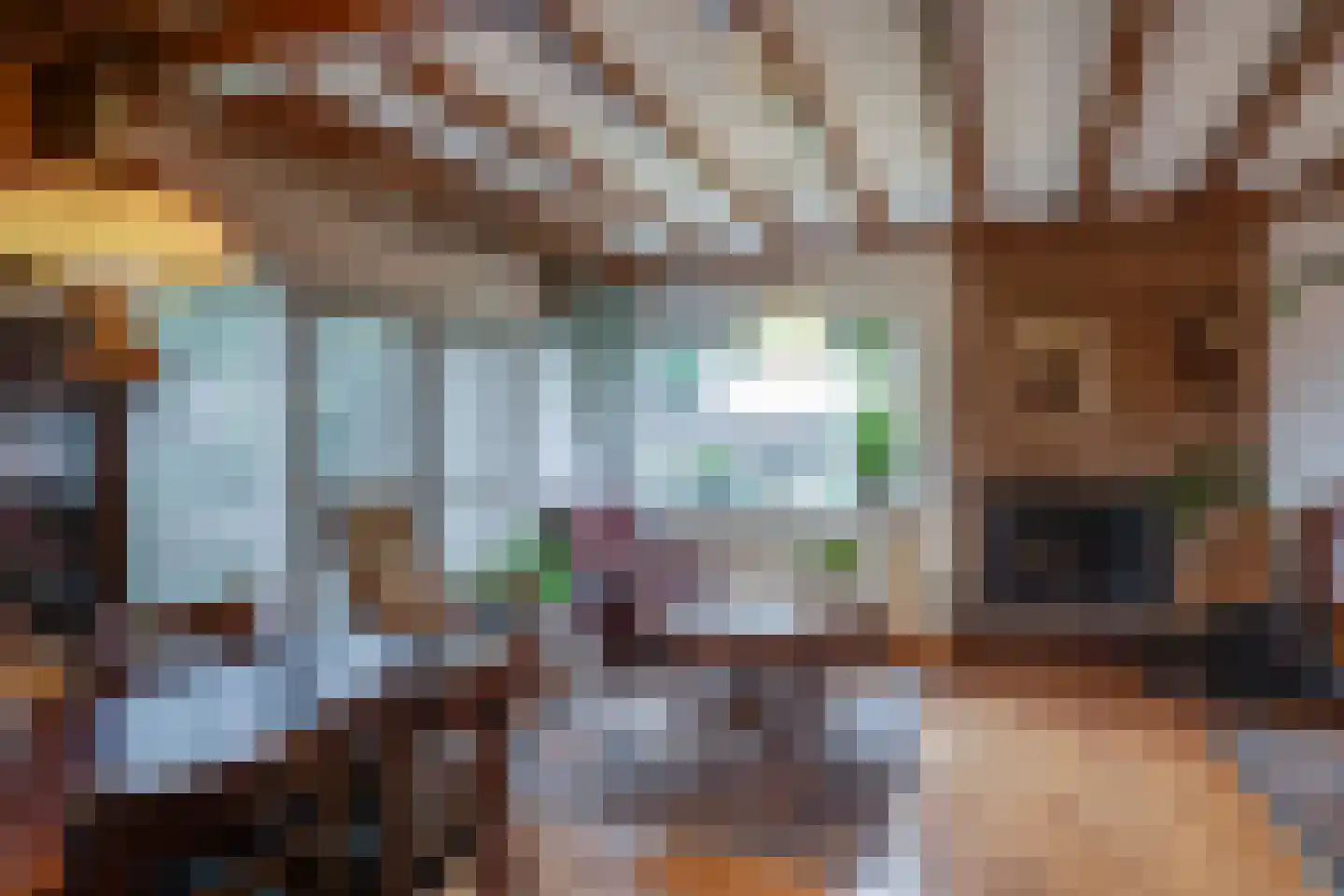 Vlierdenseweg 103 Deurne thumbnail 6