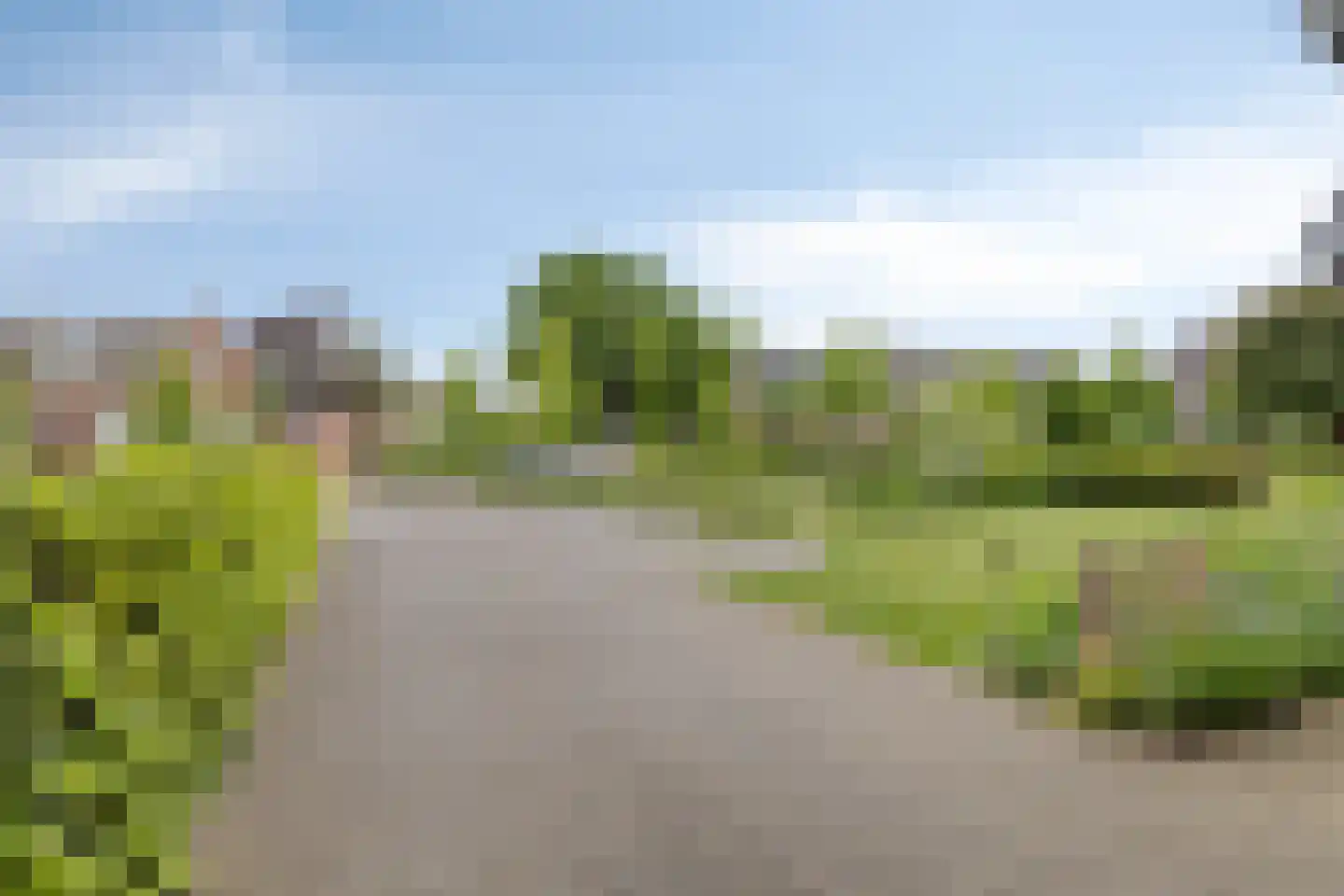 Vlierdenseweg 187 Vlierden thumbnail 10