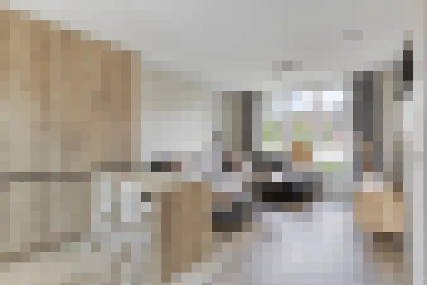 Vlierdenseweg 187 Vlierden thumbnail 12