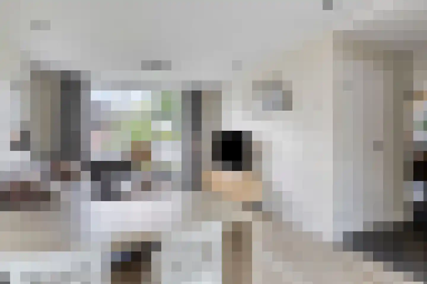 Vlierdenseweg 187 Vlierden thumbnail 13