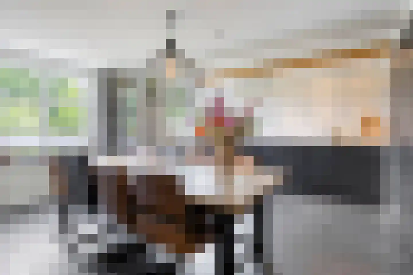 Vlierdenseweg 187 Vlierden thumbnail 17