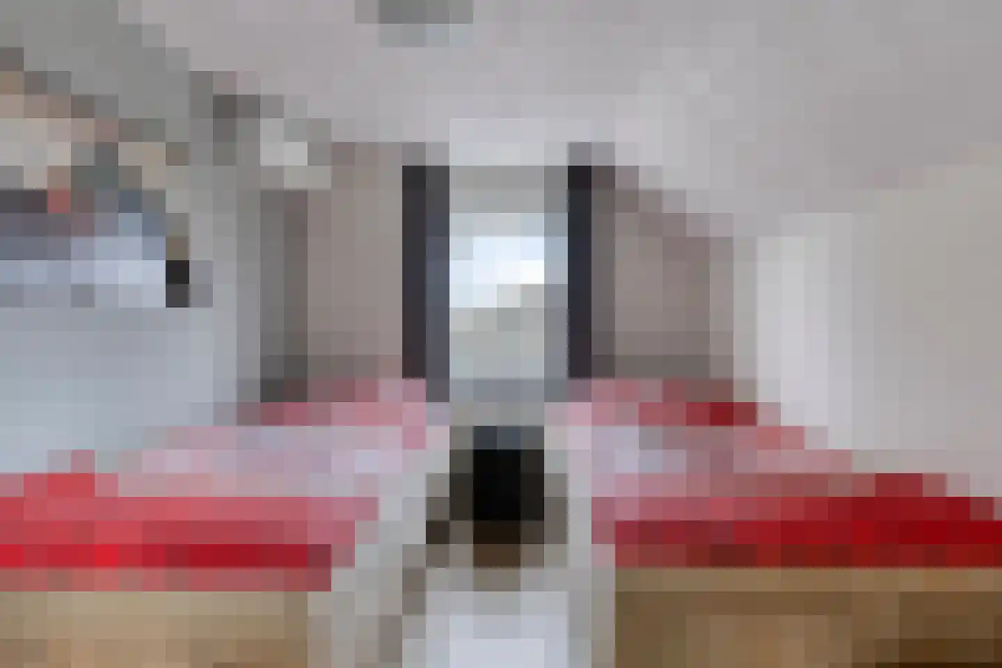 Vlierdenseweg 187 Vlierden thumbnail 43