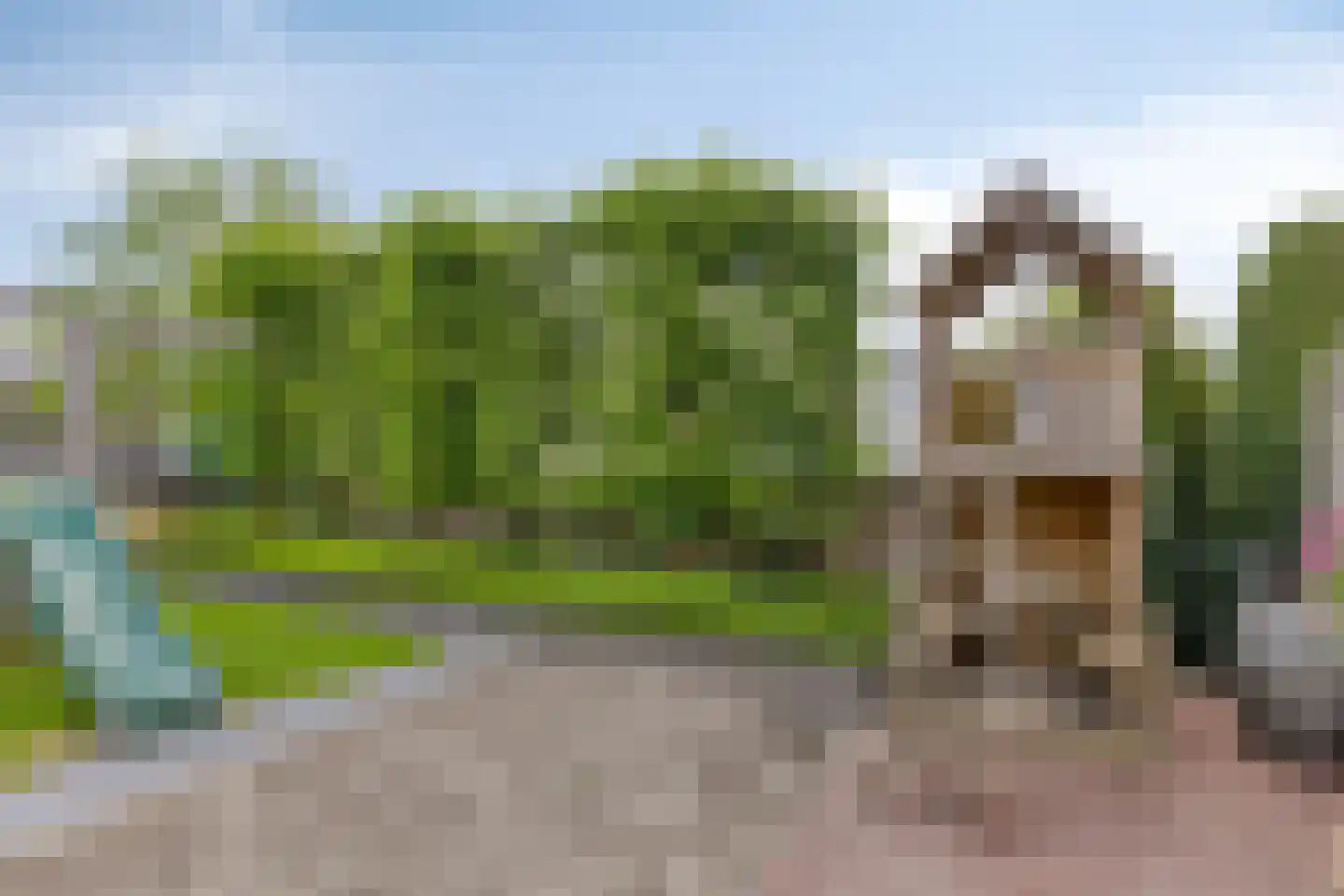 Vlierdenseweg 187 Vlierden thumbnail 47