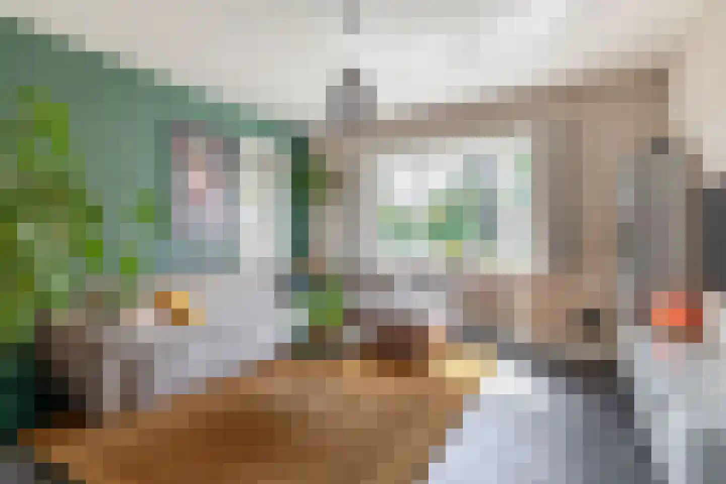 Vlierdenseweg 28 Deurne thumbnail 10