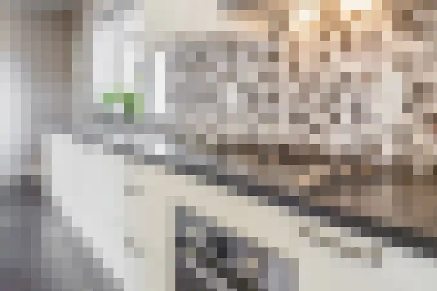 Vlierdenseweg 28 Deurne thumbnail 17