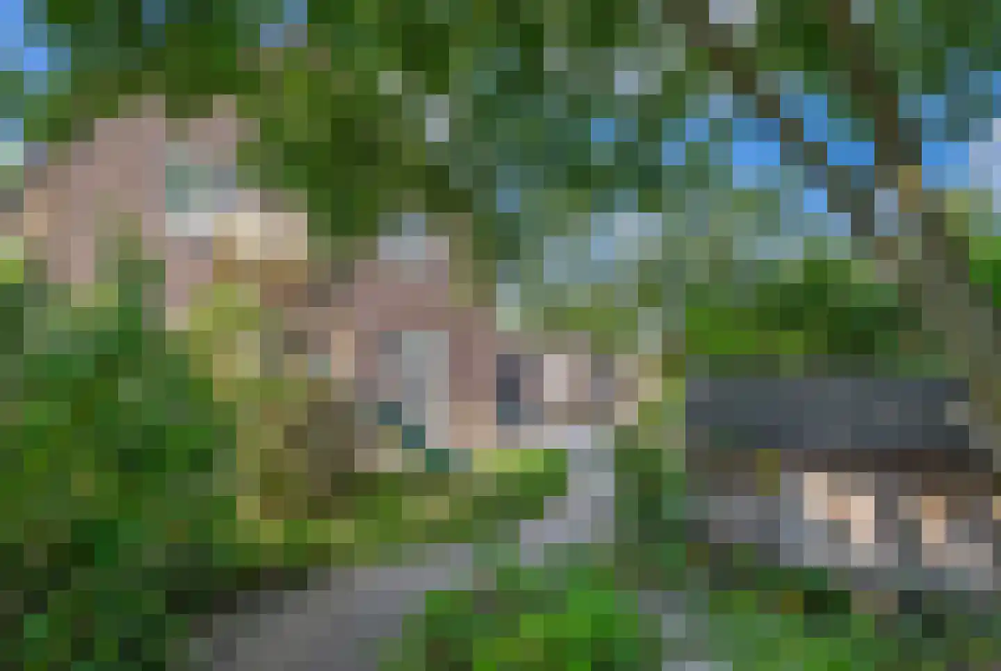 Vlierdenseweg 28 Deurne thumbnail 39
