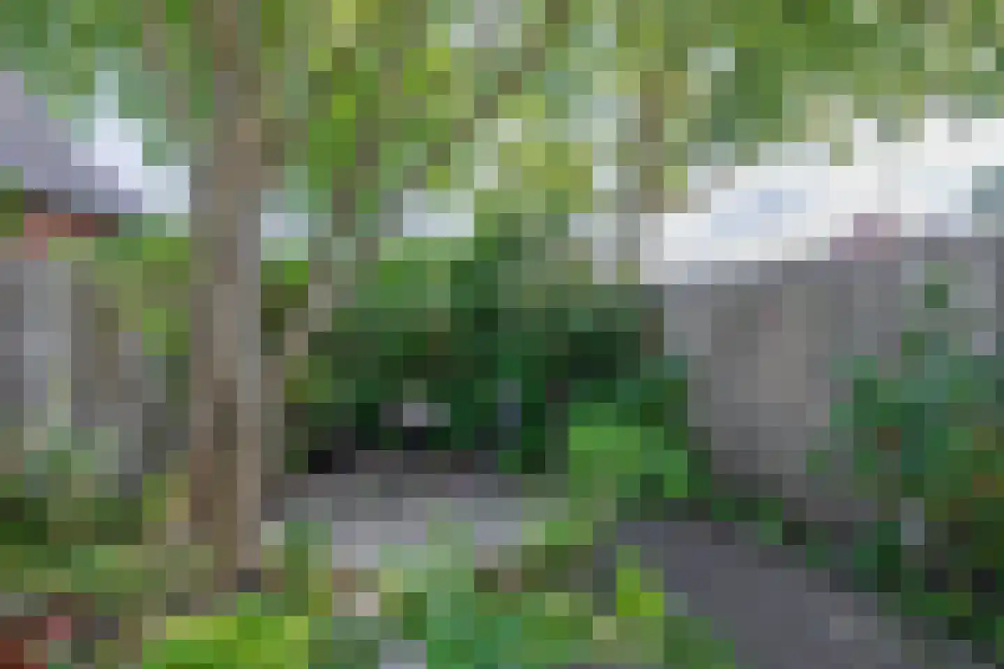 Vlierdenseweg 28 Deurne thumbnail 40