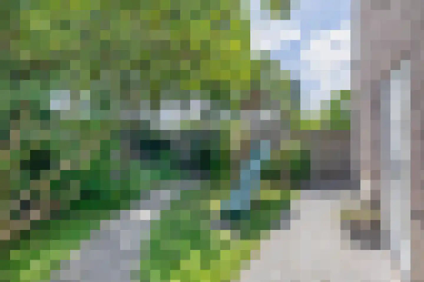 Vlierdenseweg 28 Deurne thumbnail 41