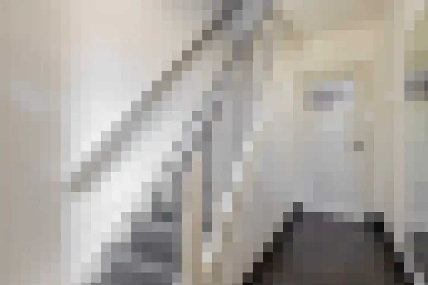 Vlierdenseweg 28 Deurne thumbnail 9