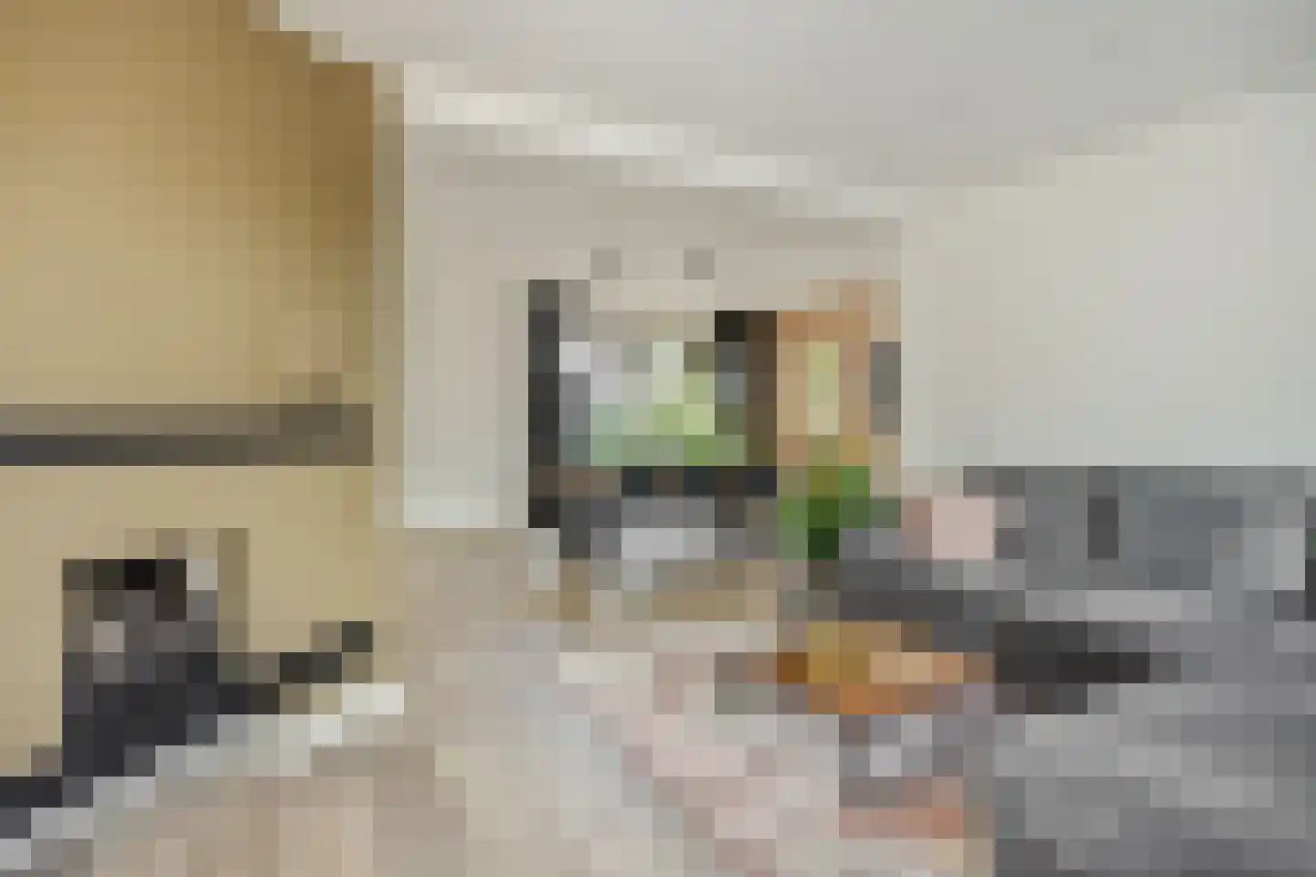 Vlierdenseweg 7 Deurne thumbnail 11