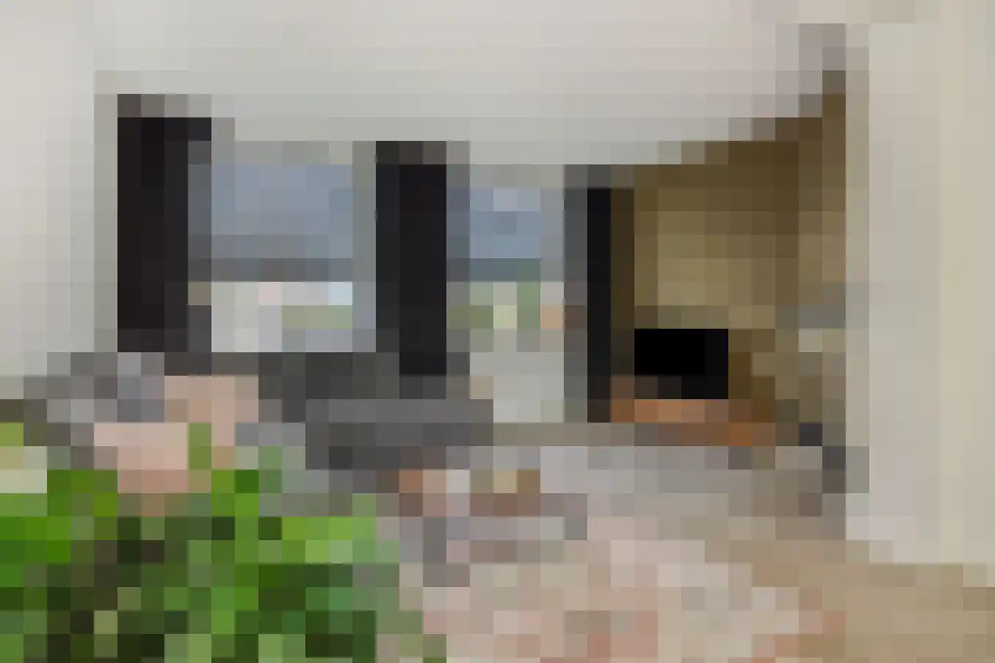 Vlierdenseweg 7 Deurne thumbnail 11