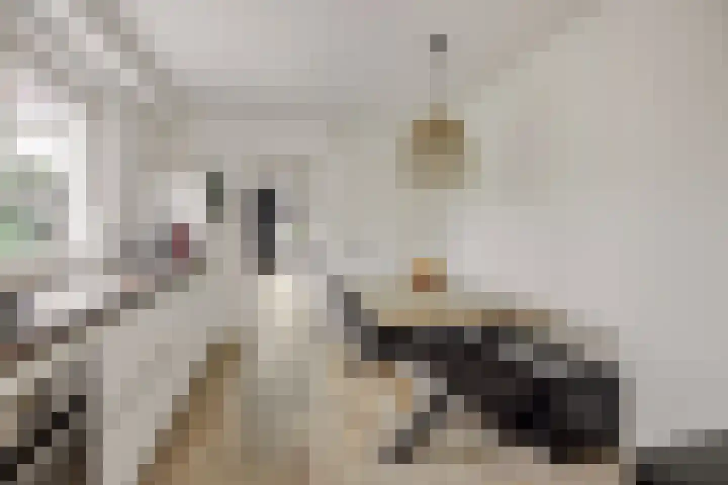 Vlierdenseweg 7 Deurne thumbnail 14