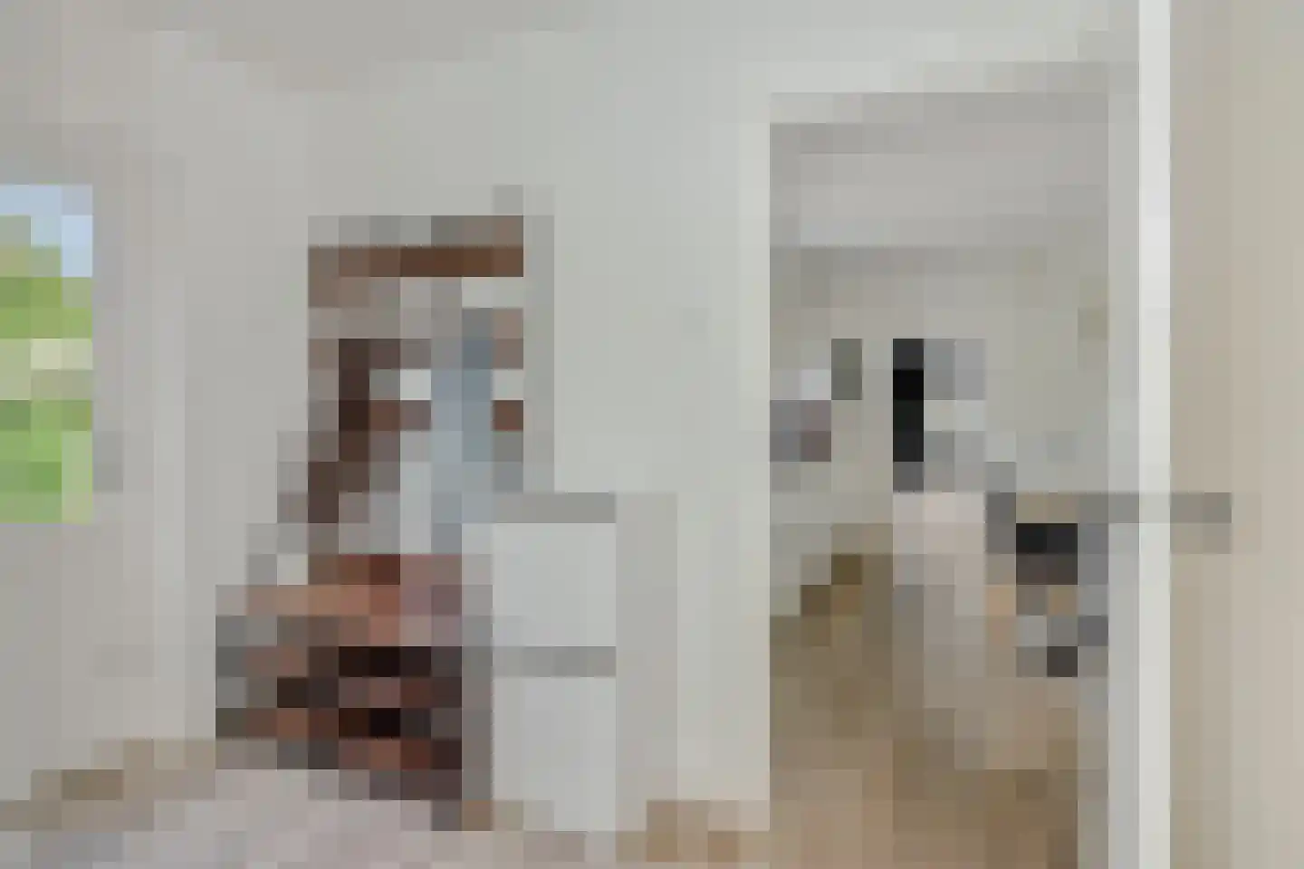 Vlierdenseweg 7 Deurne thumbnail 16