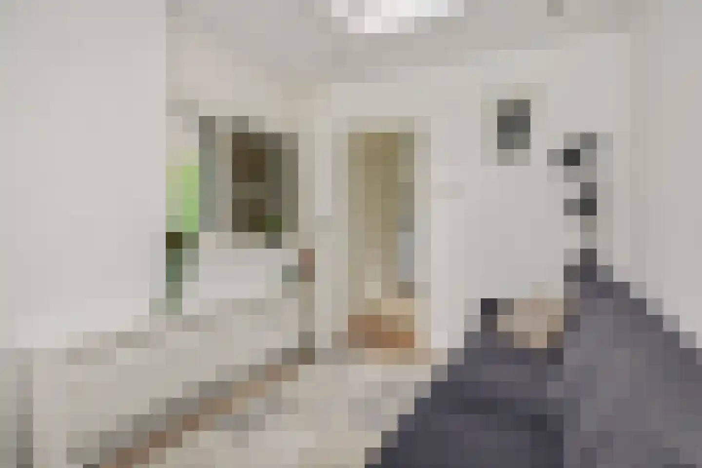 Vlierdenseweg 7 Deurne thumbnail 19