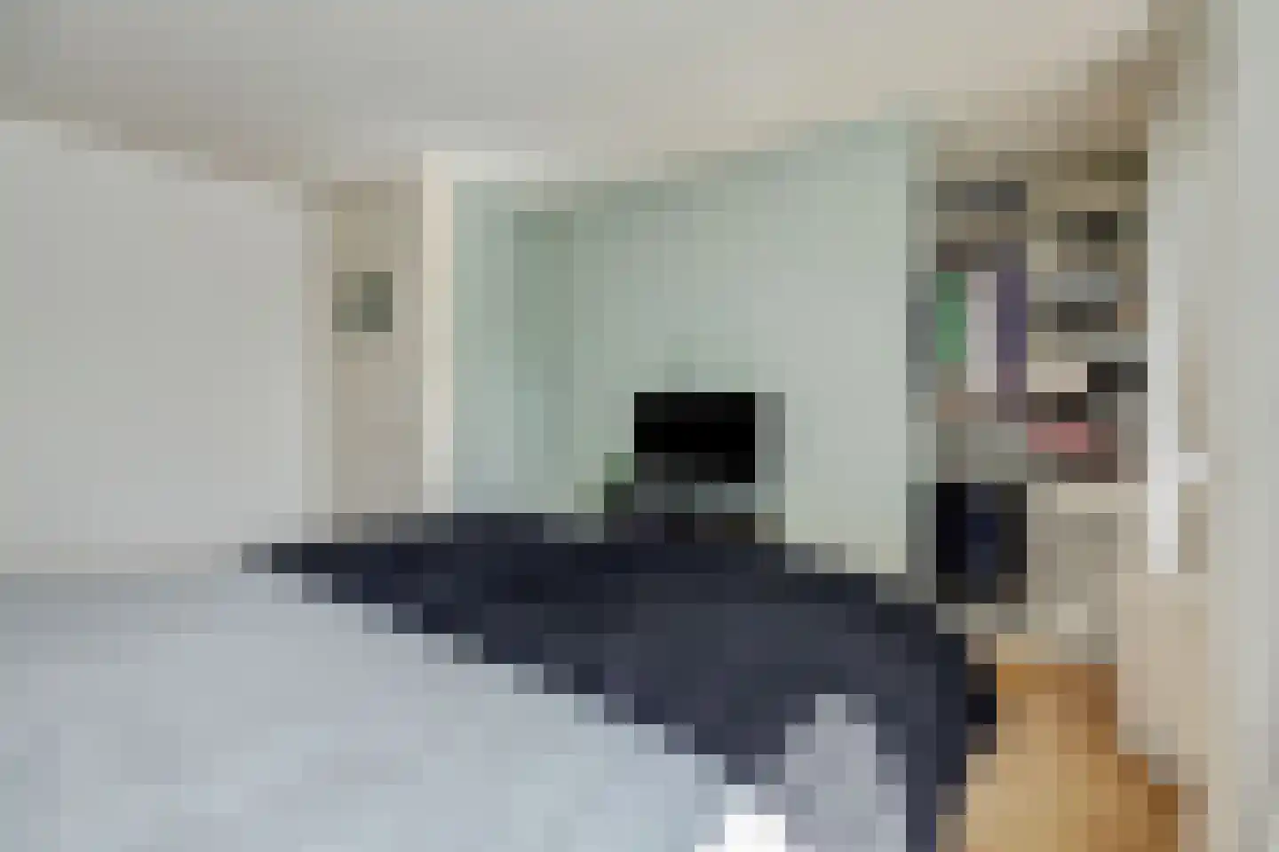 Vlierdenseweg 7 Deurne thumbnail 21