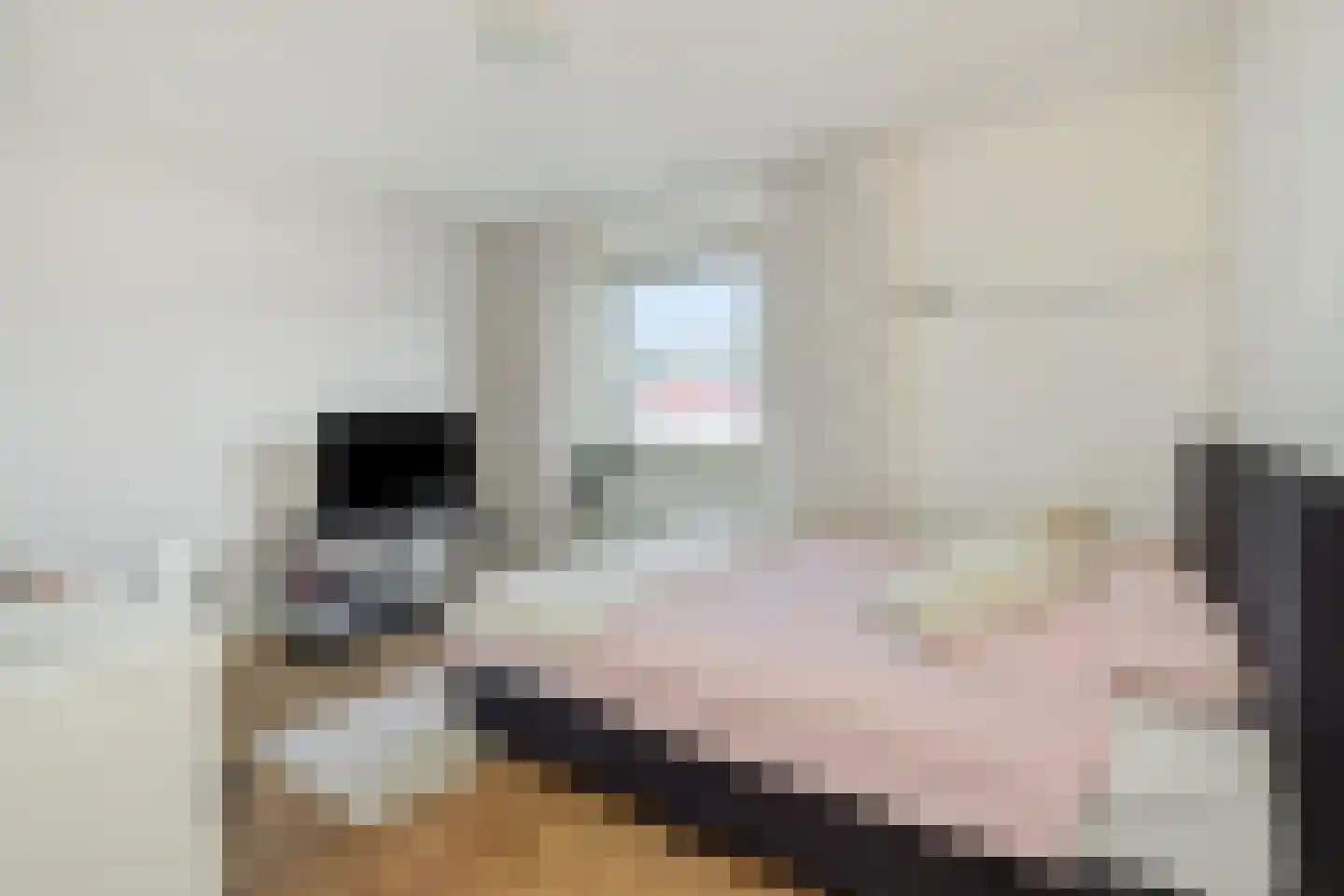 Vlierdenseweg 7 Deurne thumbnail 22