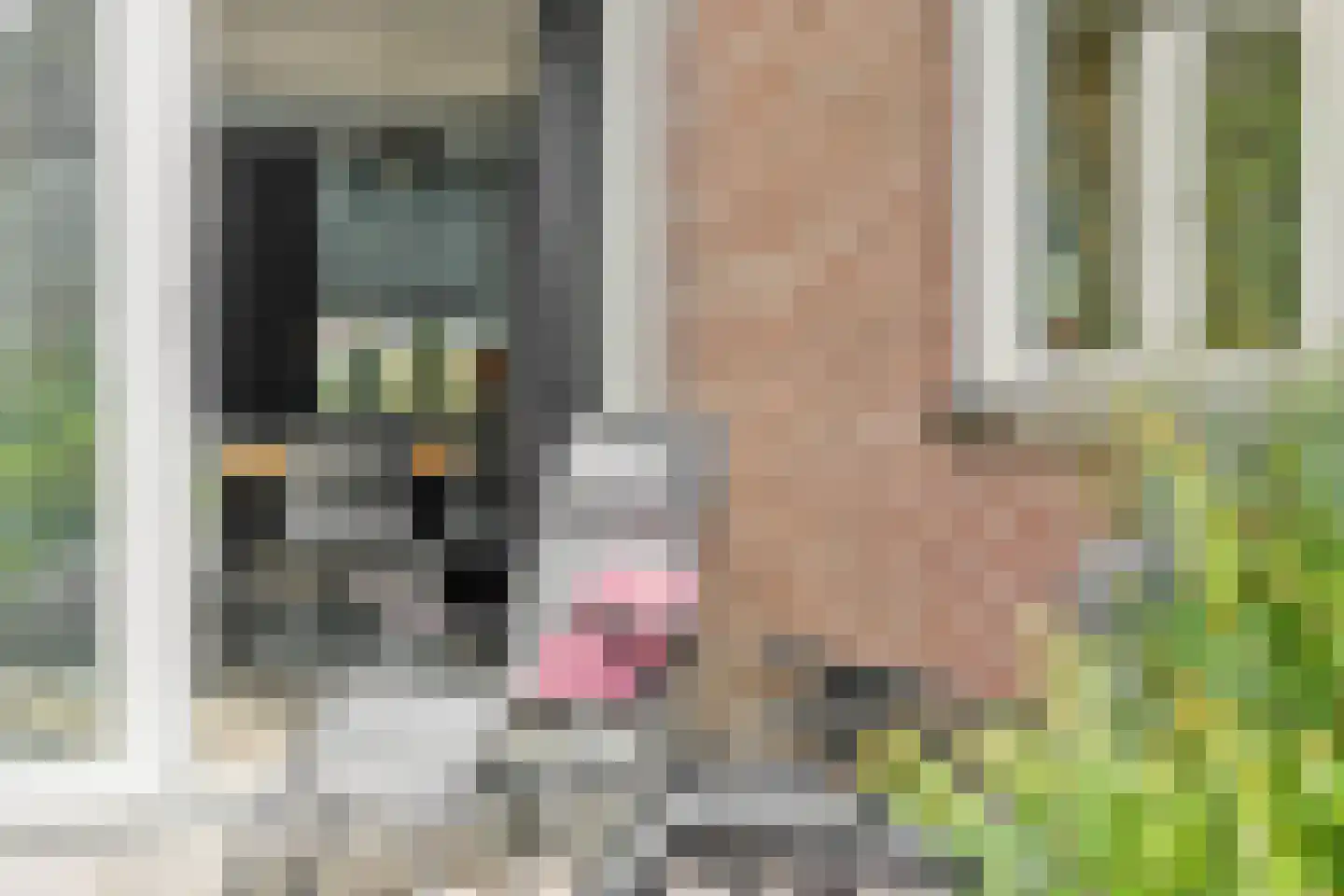 Vlierdenseweg 7 Deurne thumbnail 30