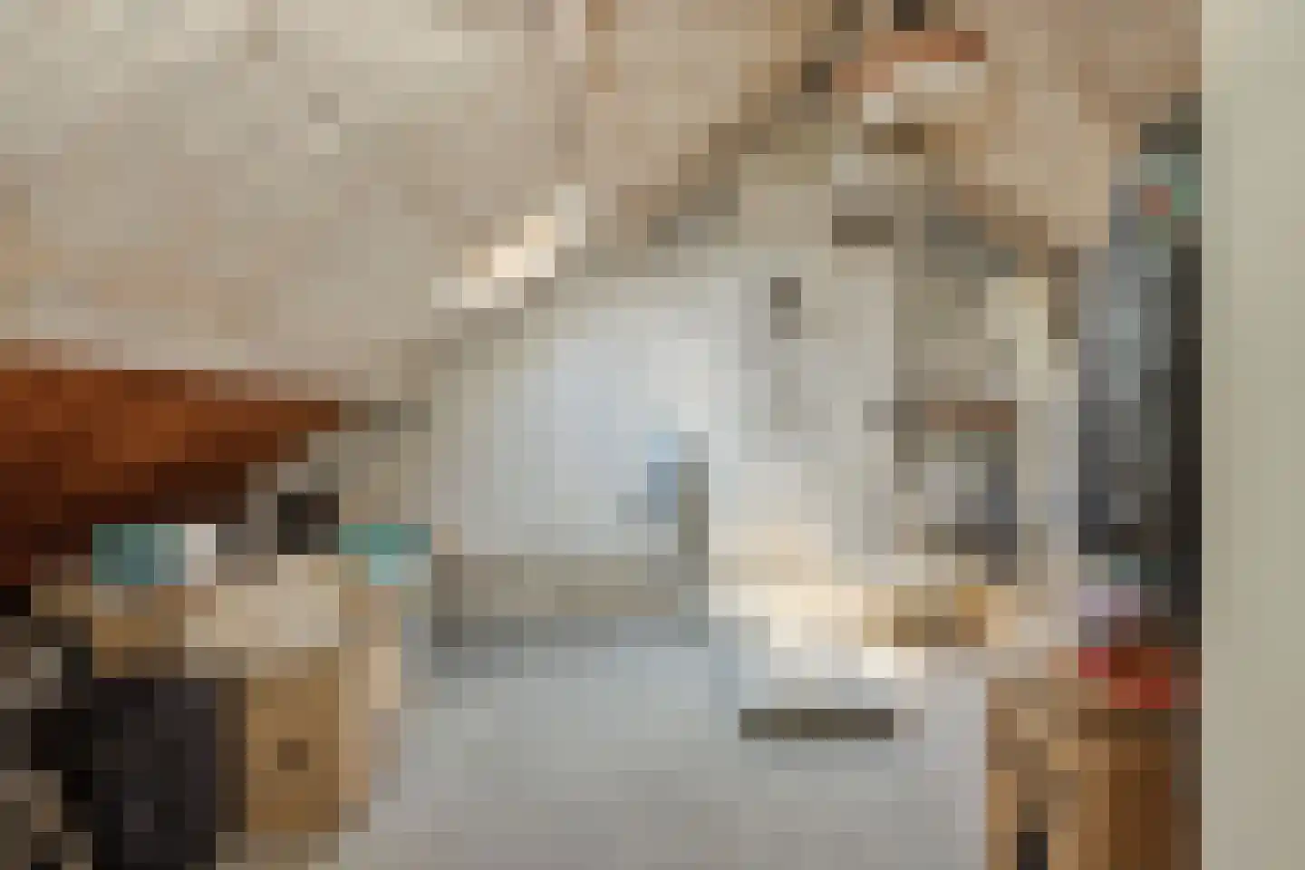 Vlierdenseweg 7 Deurne thumbnail 32