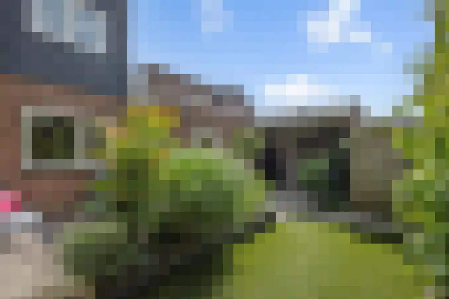 Vlierdenseweg 7 Deurne thumbnail 5