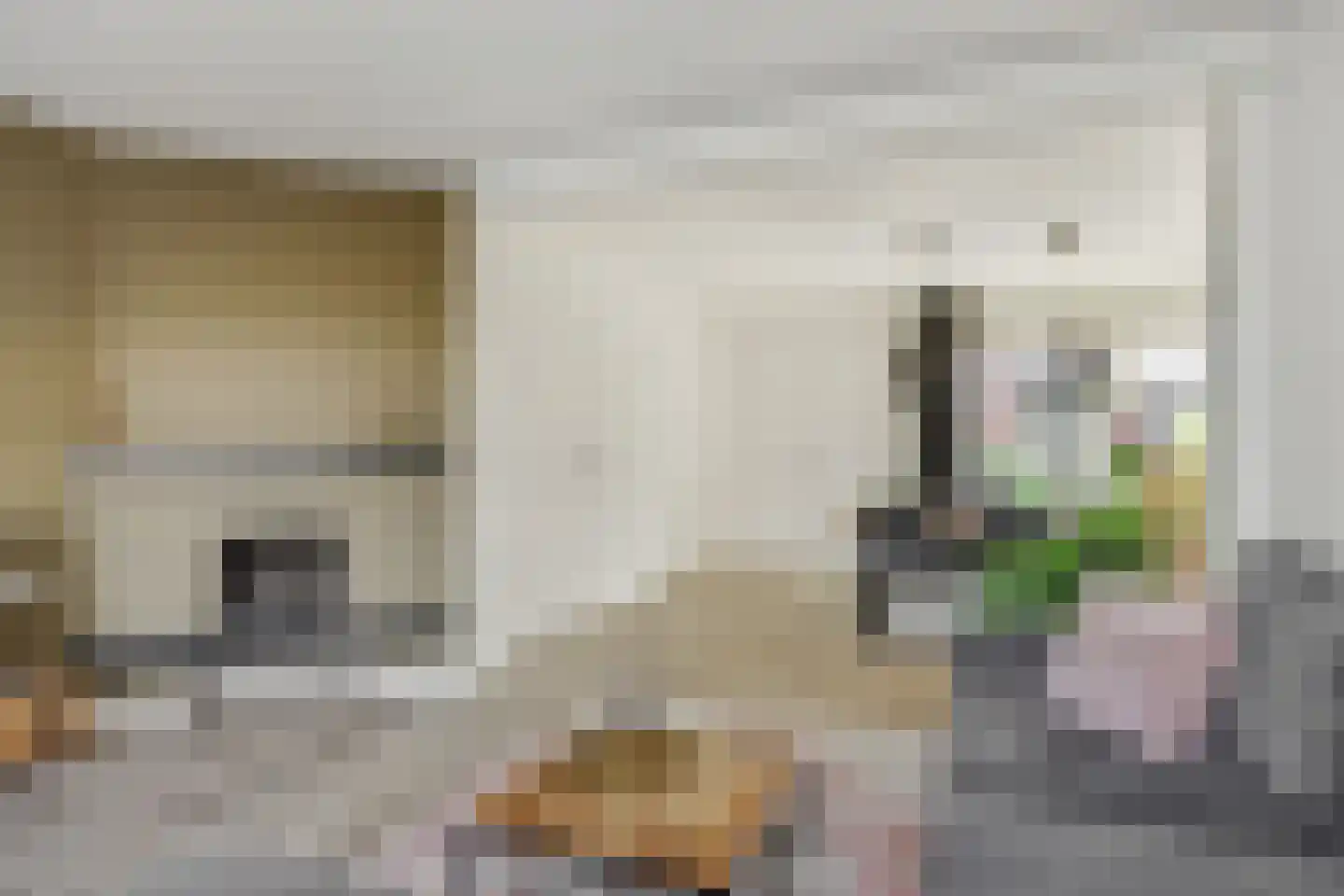 Vlierdenseweg 7 Deurne thumbnail 9